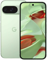 Смартфон Google Pixel 9, 12.256GB, Wintergreen (Зеленый)