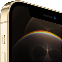 Смартфон Apple iPhone 12 Pro, 256GB, Gold | Золотой